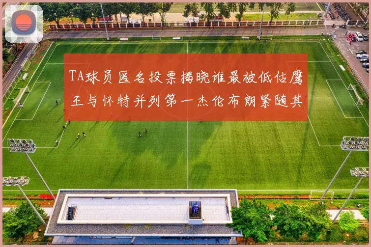 TA球员匿名投票揭晓谁最被低估鹰王与怀特并列第一杰伦布朗紧随其后