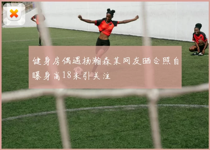 健身房偶遇杨瀚森某网友晒合照自曝身高18米引关注